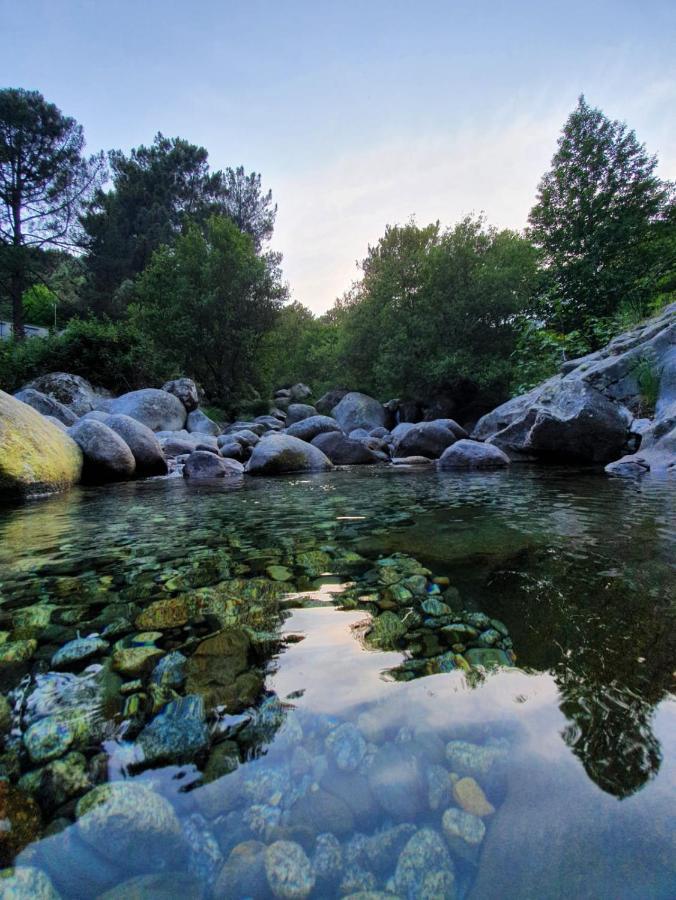Apartamento La Estrella de Gredos Guisando Exterior foto