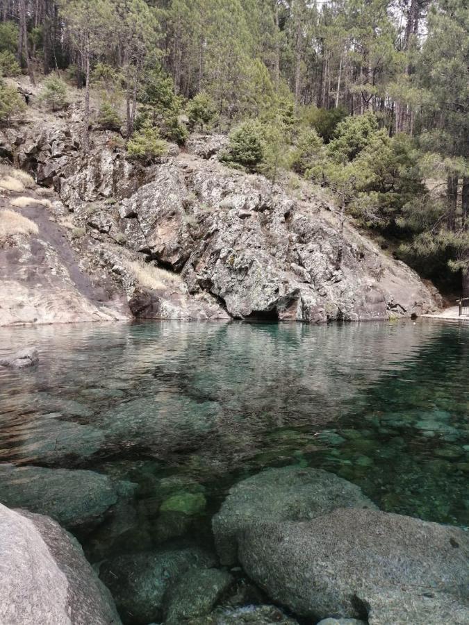 Apartamento La Estrella de Gredos Guisando Exterior foto
