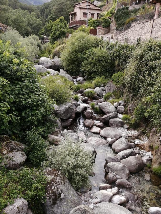 Apartamento La Estrella de Gredos Guisando Exterior foto